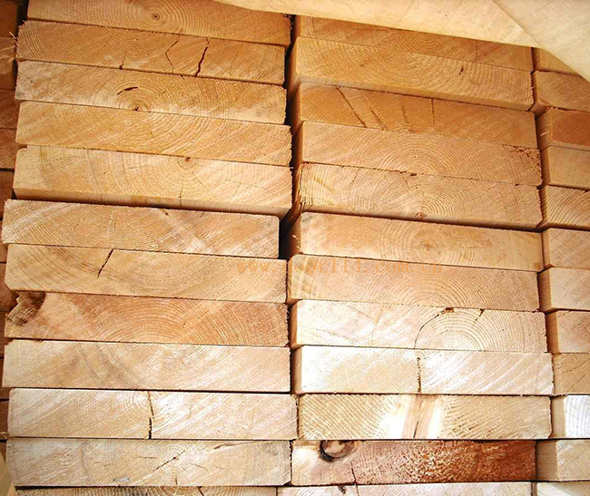 阳江镇智利辐射松方木